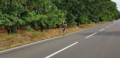 0119  (Bild vergr&ouml;&szlig;ern)