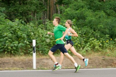 0291  (Bild vergr&ouml;&szlig;ern)