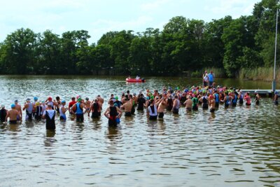 0416  (Bild vergr&ouml;&szlig;ern)