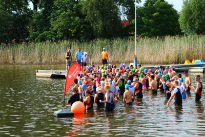 0417  (Bild vergr&ouml;&szlig;ern)