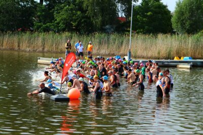 0420  (Bild vergr&ouml;&szlig;ern)