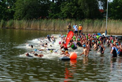 0423  (Bild vergr&ouml;&szlig;ern)