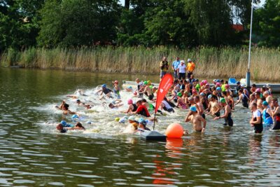 0424  (Bild vergr&ouml;&szlig;ern)