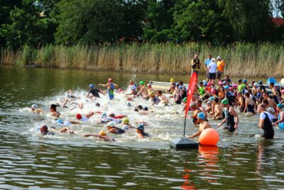 0425  (Bild vergr&ouml;&szlig;ern)