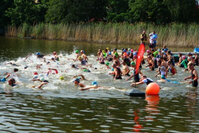 0427  (Bild vergr&ouml;&szlig;ern)