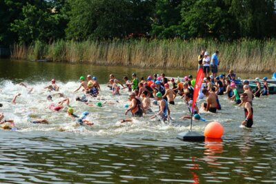 0428  (Bild vergr&ouml;&szlig;ern)