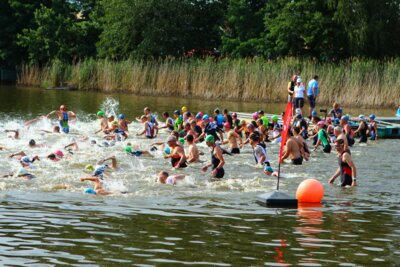 0429  (Bild vergr&ouml;&szlig;ern)