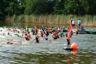 0431  (Bild vergr&ouml;&szlig;ern)