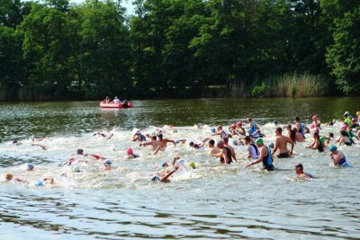 0432  (Bild vergr&ouml;&szlig;ern)