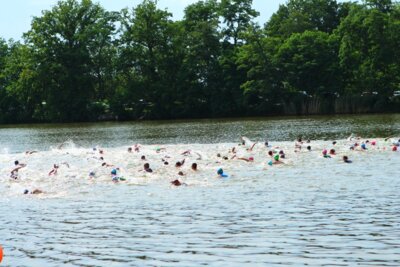 0433  (Bild vergr&ouml;&szlig;ern)