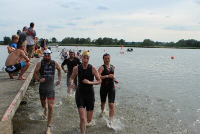 0483  (Bild vergr&ouml;&szlig;ern)