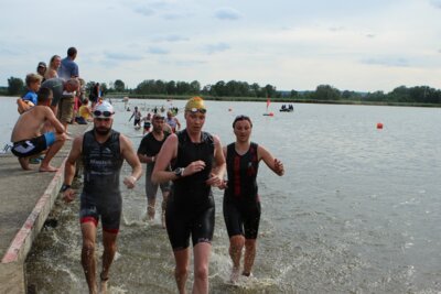 0484  (Bild vergr&ouml;&szlig;ern)