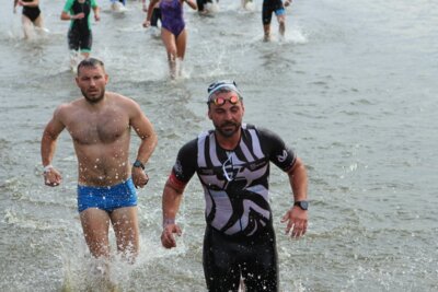 0492  (Bild vergr&ouml;&szlig;ern)