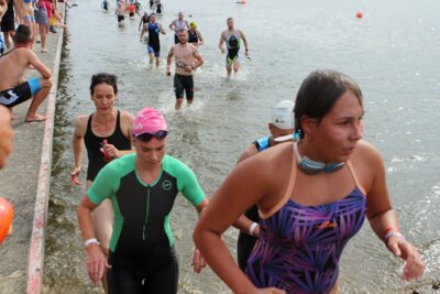 0495  (Bild vergr&ouml;&szlig;ern)