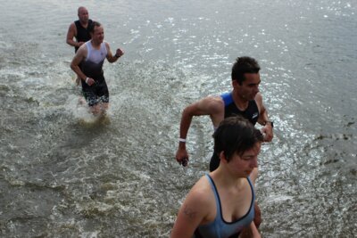 0510  (Bild vergr&ouml;&szlig;ern)