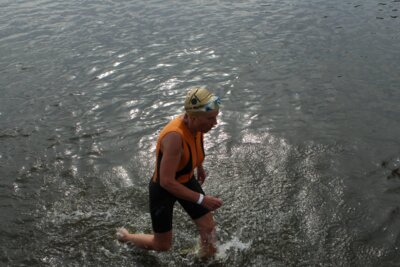 0529  (Bild vergr&ouml;&szlig;ern)