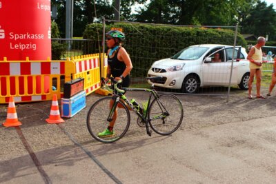 0653  (Bild vergr&ouml;&szlig;ern)