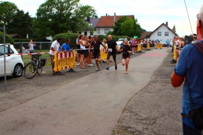 0729  (Bild vergr&ouml;&szlig;ern)