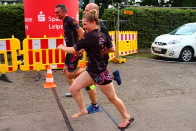 0733  (Bild vergr&ouml;&szlig;ern)