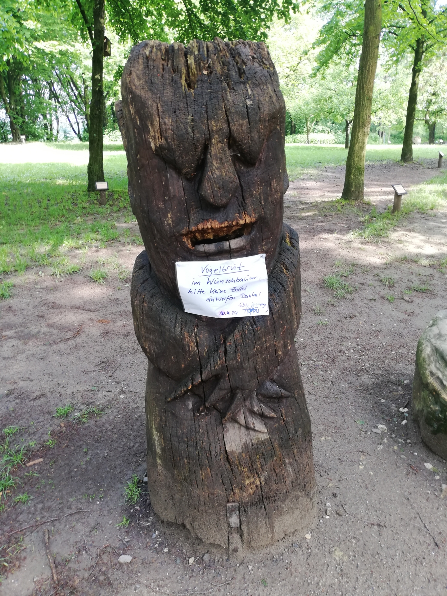 Bild: Der Wunschbaum wurde