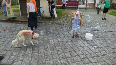Foto des Albums: Kinderfest 2024-1 Axel Starck (01.​06.​2024)