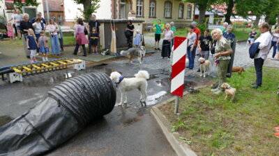Foto des Albums: Kinderfest 2024-1 Axel Starck (01.​06.​2024)