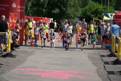 0006-5  (Bild vergr&ouml;&szlig;ern)