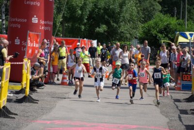 0007-4  (Bild vergr&ouml;&szlig;ern)