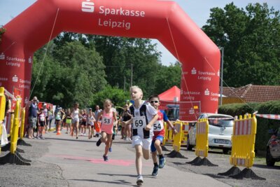 0009-5  (Bild vergr&ouml;&szlig;ern)