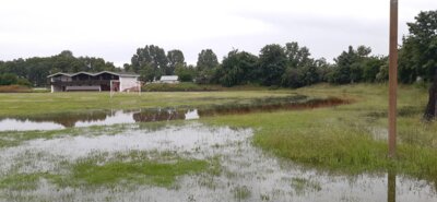 Foto des Albums: Hochwasser 06.2024