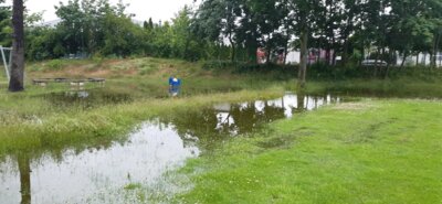 Foto des Albums: Hochwasser 06.2024