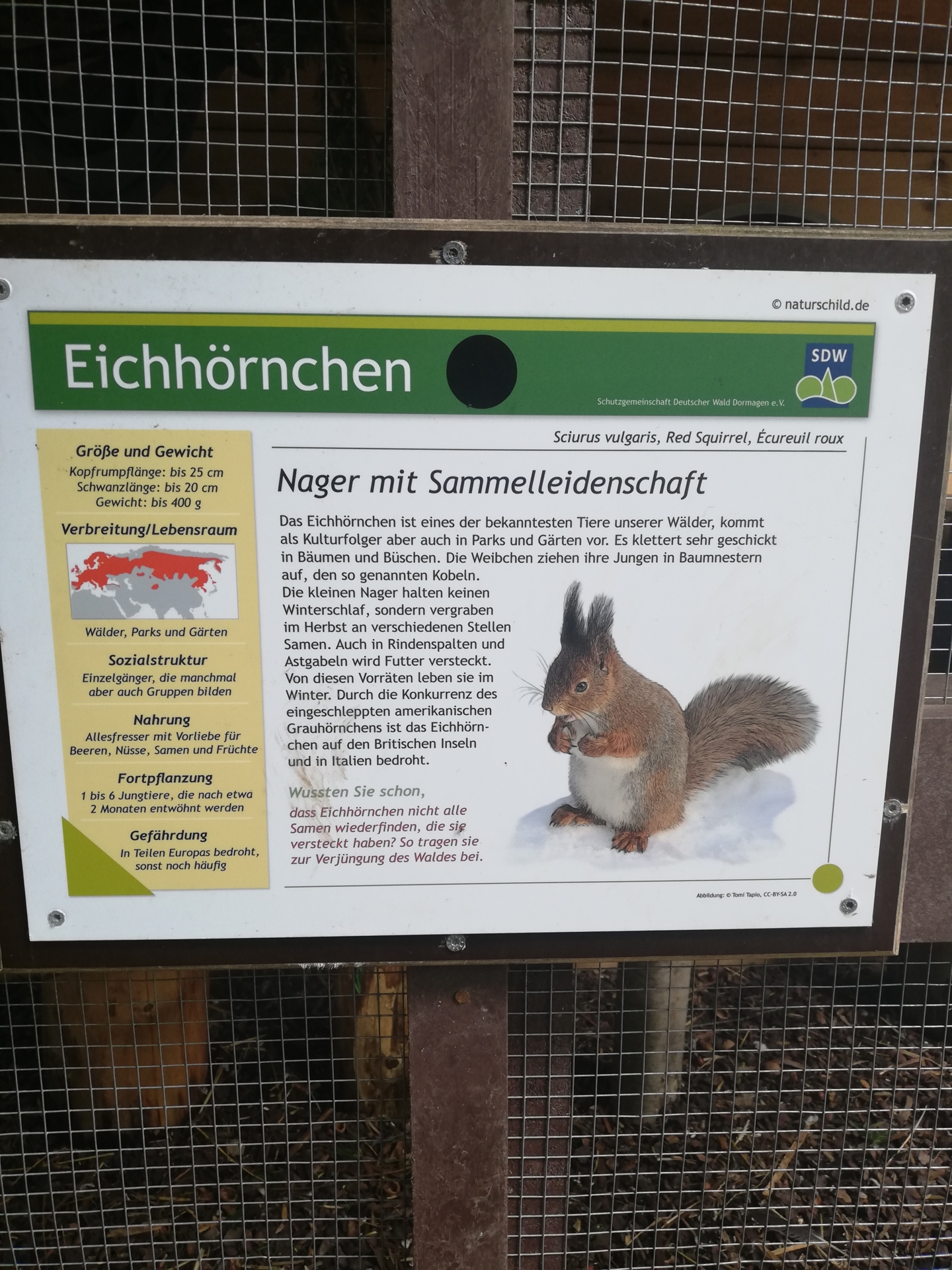 Bild der Galerie