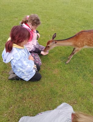 Foto des Albums: Kindertagsausfahrt Sonnenlandpark