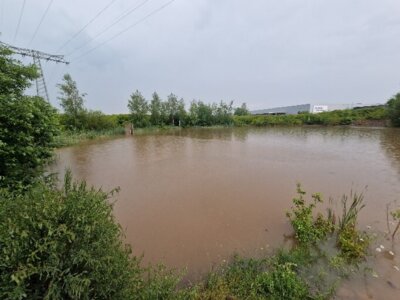 Vorschaubild: Regenrückhaltebecken Gewerbegebiet Reinsdorf