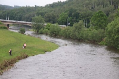 Vorschaubild: Zwickauer Mulde Standort alte Bockwaer Brücke Sonntag, 02.06.2024, ca. 16:00 Uhr