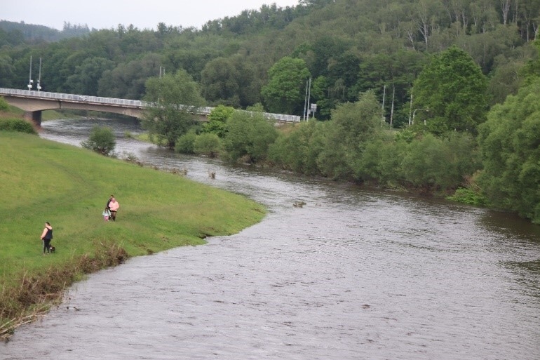 Bild: Zwickauer Mulde Standort alte Bockwaer Brücke Sonntag, 02.06.2024, ca. 16:00 Uhr