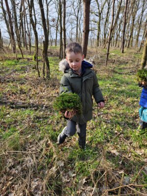 Foto des Albums: März-Mai Kindergarten 2024 (04. 06. 2024)