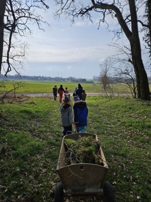 Foto des Albums: März-Mai Kindergarten 2024 (04. 06. 2024)