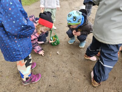 Foto des Albums: März-Mai Kindergarten 2024 (04. 06. 2024)