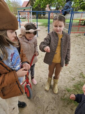 Foto des Albums: März-Mai Kindergarten 2024 (04. 06. 2024)