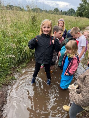 Foto des Albums: März-Mai Kindergarten 2024 (04. 06. 2024)