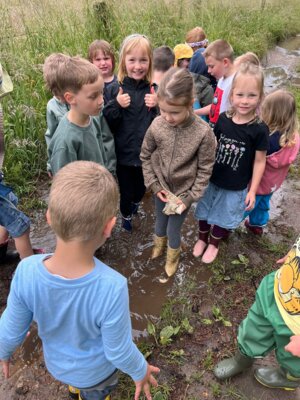 Foto des Albums: März-Mai Kindergarten 2024 (04. 06. 2024)