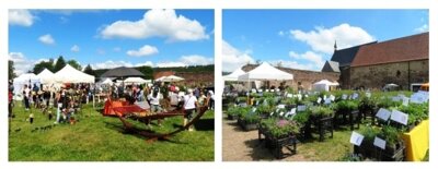 Foto des Albums: Kloster- und Gartenfest 24.05. - 26.05.2024 (05.06.2024)