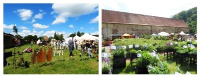 Foto des Albums: Kloster- und Gartenfest 24.05. - 26.05.2024 (05. 06. 2024)