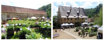 Foto des Albums: Kloster- und Gartenfest 24.05. - 26.05.2024 (05. 06. 2024)