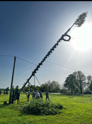 Foto des Albums: 30.04.2024 Maibaum aufstellen