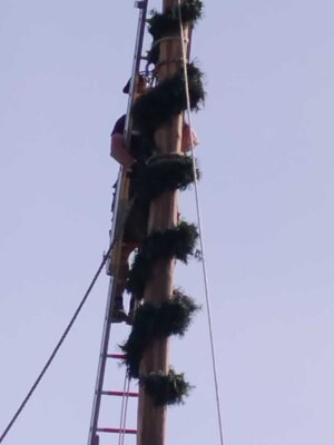 Foto des Albums: 30.04.2024 Maibaum aufstellen