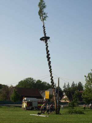 Foto des Albums: 30.04.2024 Maibaum aufstellen