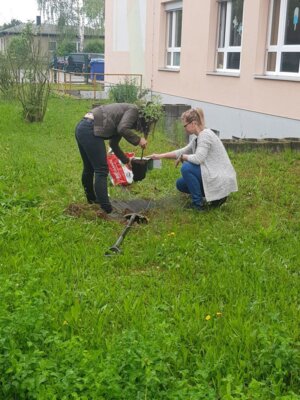 Foto des Albums: Apfelbaumpflanzung/ Geschenk zum Jubiläum (06. 06. 2024)