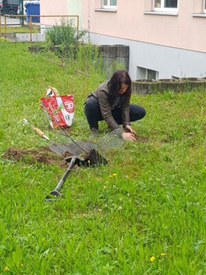 Foto des Albums: Apfelbaumpflanzung/ Geschenk zum Jubiläum (06. 06. 2024)